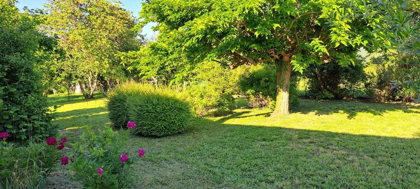 Jardin débroussaillé et pelouse tondue, entretenu à chaque passage