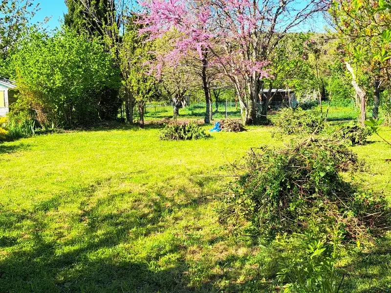 Jardin tondu et abords entretenus par Olivier Services près de Tréziers